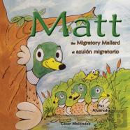 Matt