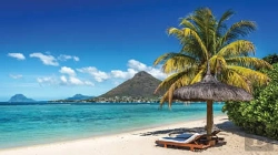 Bertrand.pt - Mauritus Pocket Guides