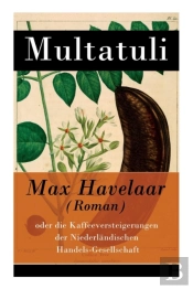 Max Havelaar (Roman)