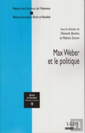 Max Weber Et Le Politique