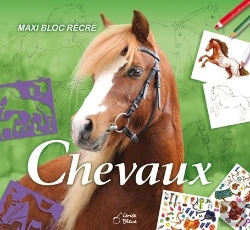 Bertrand.pt - Maxi Bloc Récré ; Chevaux