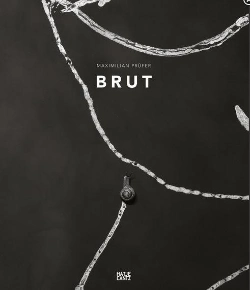 Bertrand.pt - Maximilian Prufer Brut /Anglais/Allemand