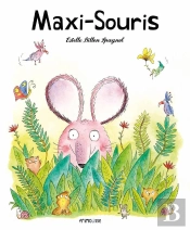 Maxisouris