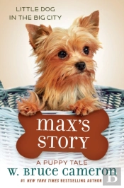 Max'S Story