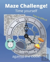 Maze Challenge