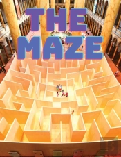 Maze Puzzles Book
