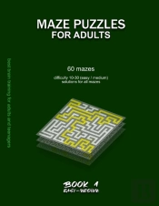 Maze Puzzles For Adults