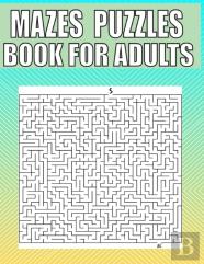 Mazes Puzzles Book For Adults