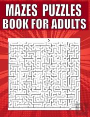 Mazes Puzzles Book For Adults