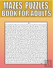 Mazes Puzzles Book For Adults