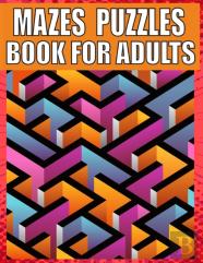 Mazes Puzzles Book For Adults