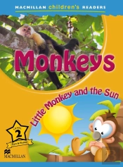 Mcr 2013 2b Monkey