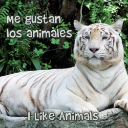 Bertrand.pt - Me Gustan Los Animales