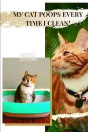 MУ Cat Poops Every Time I Clean