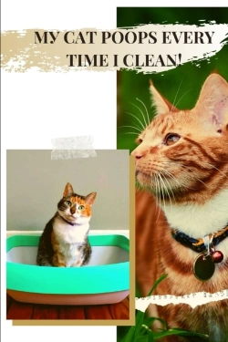 Bertrand.pt - MУ Cat Poops Every Time I Clean