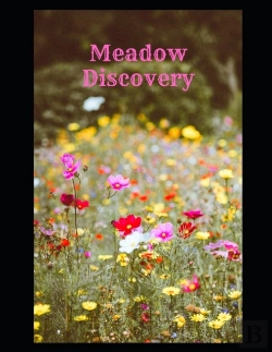 Bertrand.pt - Meadow Discovery