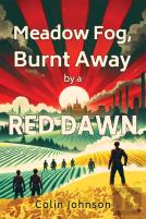 Meadow Fog, Burnt Away By A Red Dawn