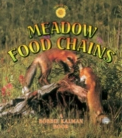 Meadow Food Chains