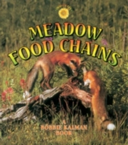 Bertrand.pt - Meadow Food Chains