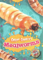 Mealworms