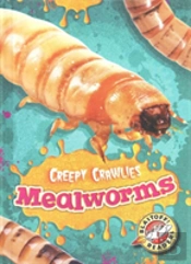 Mealworms