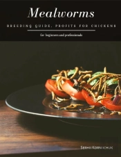 Mealworms