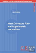 Mean Curvature Flow And Isoperimetric Inequalities