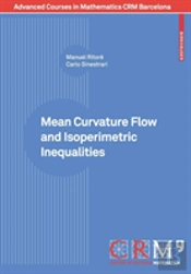 Mean Curvature Flow And Isoperimetric Inequalities