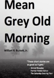 Mean Grey Old Morning