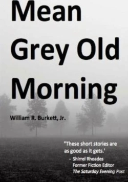 Bertrand.pt - Mean Grey Old Morning