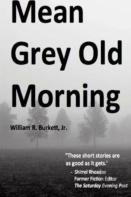 Mean Grey Old Morning