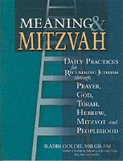 MEANING AND MITZVAH