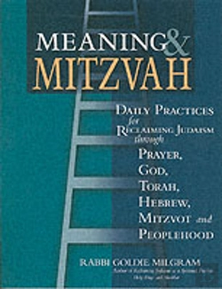 Bertrand.pt - MEANING AND MITZVAH