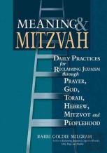 Meaning & Mitzvah