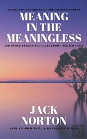 Meaning In The Meaningless