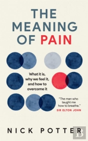 Meaning Of Pain