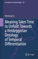 Meaning Takes Time To Unfold: Towards A Heideggerian Ontology Of Temporal Differentiation