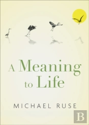 Meaning To Life
