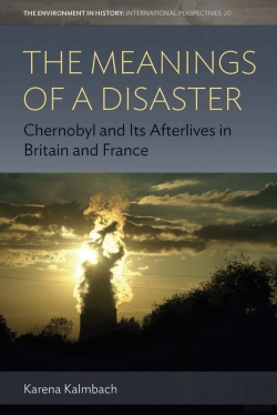 Bertrand.pt - Meanings Of A Disaster