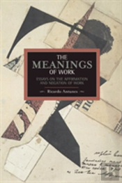 Meanings Of Work, The: Essays On The Affirmation And Negation Of Work
