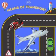 Means Of Transport