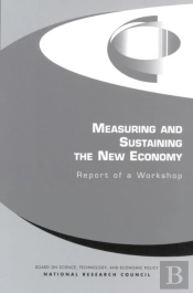 Measuring And Sustaining The New Economy