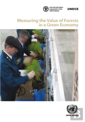 Measuring The Value Of Forests In A Green Economy