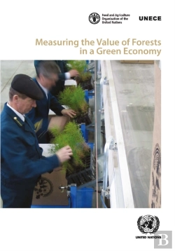 Bertrand.pt - Measuring The Value Of Forests In A Green Economy