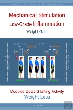 Bertrand.pt - Mechanical Stimulation Low-Grade Inflammation Weight Gain