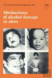 Mechanisms Of Alcohol Damage In Utero