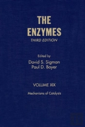 Mechanisms Of Catalysis