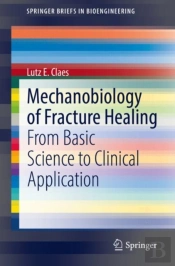 Mechanobiology Of Fracture Healing