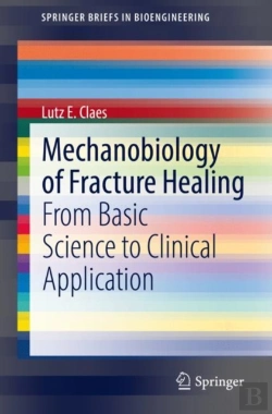 Bertrand.pt - Mechanobiology Of Fracture Healing