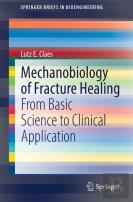 Mechanobiology Of Fracture Healing